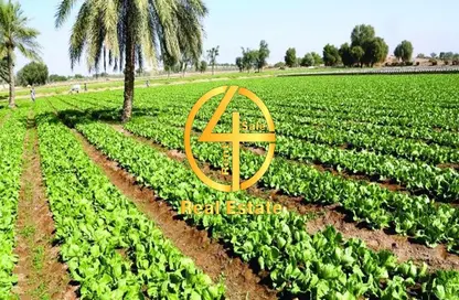 Farm - Studio for sale in Bu Krayyah - Abu Dhabi