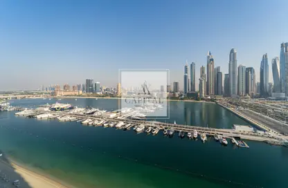 Apartment - 2 Bedrooms - 2 Bathrooms for rent in Sunrise Bay - EMAAR Beachfront - Dubai Harbour - Dubai