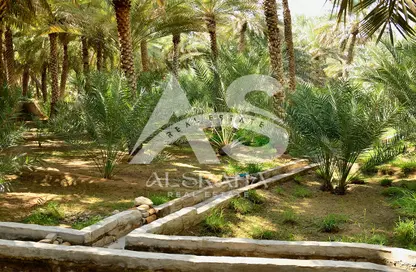 Farm - Studio - 3 Bathrooms for sale in Al Khatim - Abu Dhabi