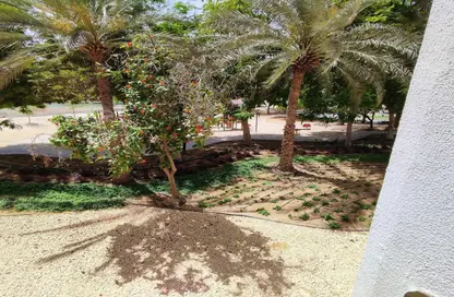 Apartment - 2 Bedrooms - 2 Bathrooms for rent in The Gardens Buildings - The Gardens - Dubai