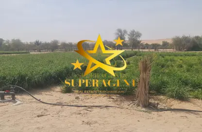 Farm - Studio for sale in Liwa - Abu Dhabi