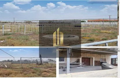 Farm - Studio - 2 Bathrooms for sale in Al Dhaid - Sharjah