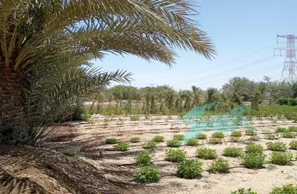 Farm - Studio for sale in Al Bahia - Abu Dhabi