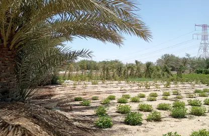 Farm - Studio for sale in Al Bahia - Abu Dhabi