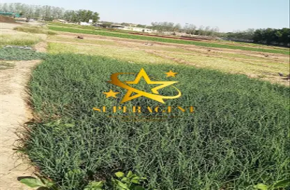 Farm - Studio - 4 Bathrooms for sale in Al Ajban - Abu Dhabi