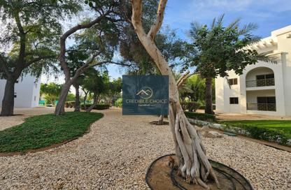 Apartment - 2 Bedrooms - 2 Bathrooms for rent in The Gardens Buildings - The Gardens - Dubai