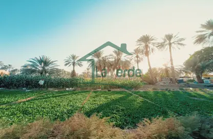 Farm - Studio for rent in Sweihan - Al Ain