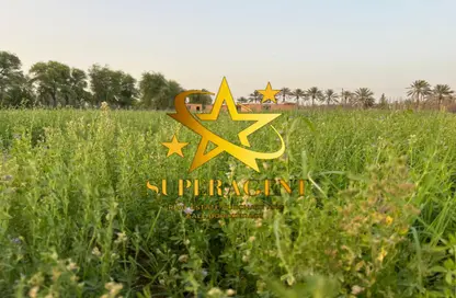 Farm - Studio - 3 Bathrooms for sale in Al Khatim - Abu Dhabi