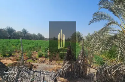 Farm - Studio - 2 Bathrooms for sale in Mezairah - Al Rahmaniya - Sharjah