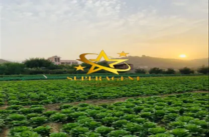 Farm - Studio - 5 Bathrooms for sale in Sweihan - Al Ain