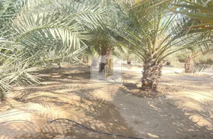 Farm - Studio for sale in Al Khatim - Abu Dhabi