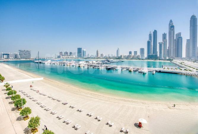 Apartment - 1 Bedroom - 1 Bathroom for rent in Sunrise Bay - EMAAR Beachfront - Dubai Harbour - Dubai