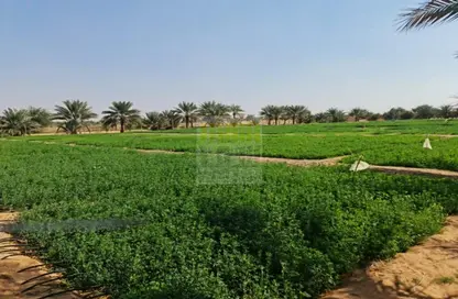 مزرعة - استوديو للبيع في مدينة الرياض - أبوظبي