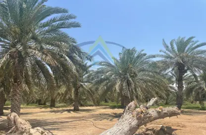 Land - Studio for sale in Al Samha - Abu Dhabi