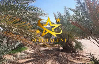 Farm - Studio for sale in Al Sarouj Street - Central District - Al Ain