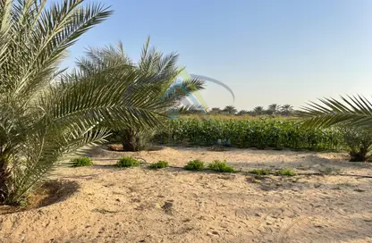 Farm - Studio for sale in Al Khabisi - Al Ain