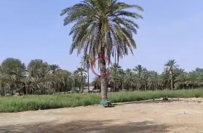 Farm - Studio for sale in Al Hayer - Al Ain