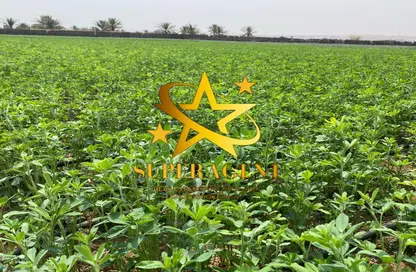 Farm - Studio for sale in Al Khatim - Abu Dhabi