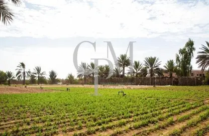 Land - Studio for sale in Al Rahba - Abu Dhabi