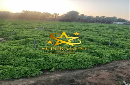 Farm - Studio for sale in Al Khatim - Abu Dhabi