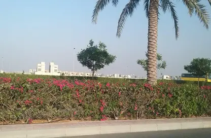 Land - Studio for sale in Jebel Ali Hills - Jebel Ali - Dubai