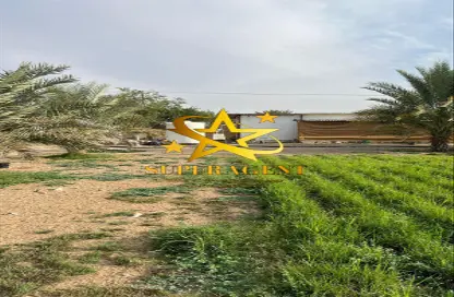 Farm - Studio for sale in Al Dhahir - Al Ain