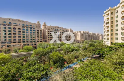 Apartment - 1 Bedroom - 2 Bathrooms for rent in Al Hamri - Shoreline Apartments - Palm Jumeirah - Dubai