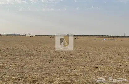 Land - Studio for sale in Marabe Al Dhafra - Madinat Zayed - Abu Dhabi