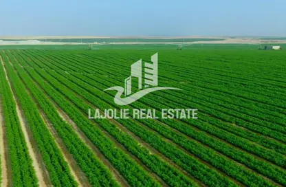 Farm - Studio for sale in Al Ajban - Abu Dhabi