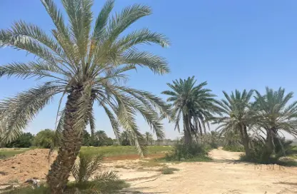 Farm - Studio for sale in KIZAD - Al Samha - Abu Dhabi