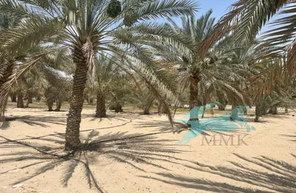 Farm - Studio for sale in Al Bahia - Abu Dhabi