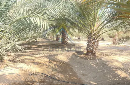 Farm - Studio for sale in Al Khatim - Abu Dhabi