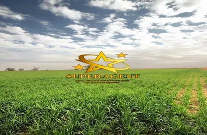 Farm - Studio for sale in Al Khaznah - Al Ain