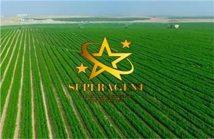 Farm - Studio for sale in Sweihan - Al Ain