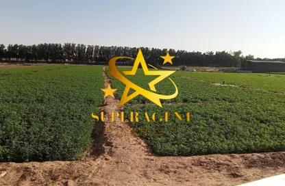 Farm - Studio for sale in Liwa - Abu Dhabi