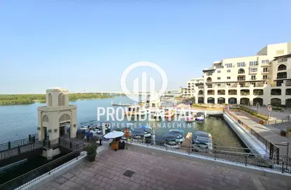 Apartment - 1 Bedroom - 2 Bathrooms for rent in Eastern Mangroves Promenade - Eastern Road - Abu Dhabi