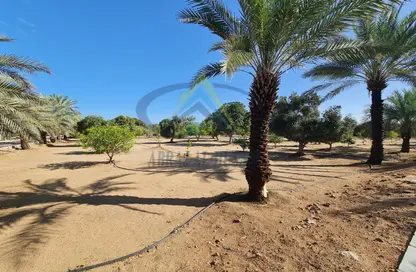 Farm - Studio for sale in Al Ajban - Abu Dhabi