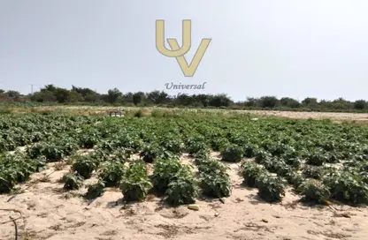 Farm - Studio for rent in Al Ajban - Abu Dhabi